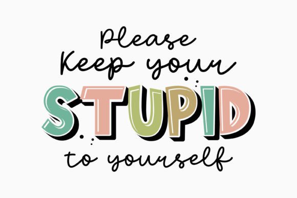 Retro Please Keep Your Stupid to Yoursel Embroidery Review